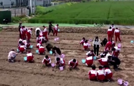 江蘇淮安：探秘航天育種 點(diǎn)亮航天夢(mèng)想