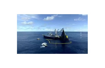 《大海追魚(yú)》第2集 逆風(fēng)逐浪