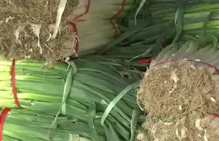 北京新發(fā)地：加強調(diào)運組織貨源 “菜籃子”供應(yīng)平穩(wěn)