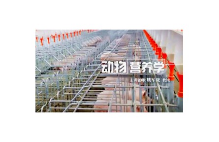 《動物營養(yǎng)學(xué)》講座系列視頻
