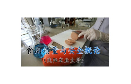 《?食品質(zhì)量與安全概論》講座系列視頻