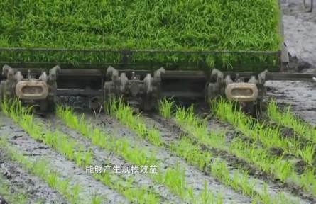 農(nóng)機(jī)農(nóng)藝融合關(guān)鍵技術(shù)