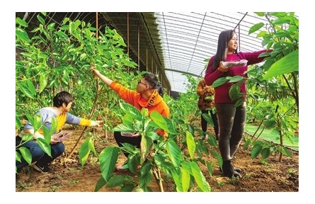 產業(yè)、生態(tài)、文化“三重塑”一場“形”與“魂”的重塑