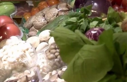 河北：59個蔬菜應(yīng)急保供基地 保障北京蔬菜市場供應(yīng)