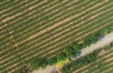 【穩(wěn)字當頭 干在實處·權(quán)威訪談】全力以赴穩(wěn)住農(nóng)業(yè)基本盤