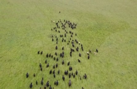 天津：圍繞對(duì)口幫扶地區(qū)特色資源 打造優(yōu)勢(shì)產(chǎn)業(yè)
