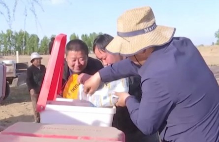 內(nèi)蒙古：推廣大豆玉米帶狀復(fù)合種植 促糧食增產(chǎn)