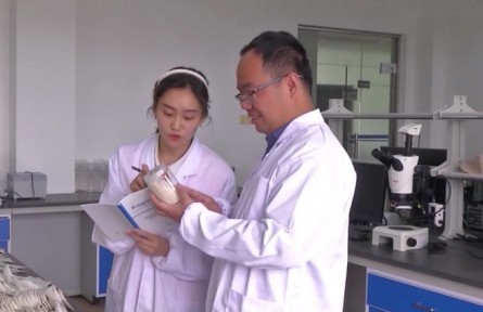 “中國青年五四獎?wù)隆鲍@得者周雷：努力為中國水稻裝上“中國芯”