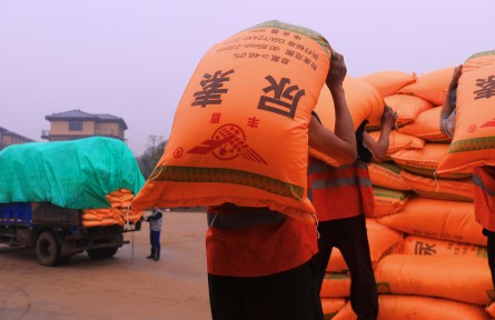 科技名詞 | 尿素  urea