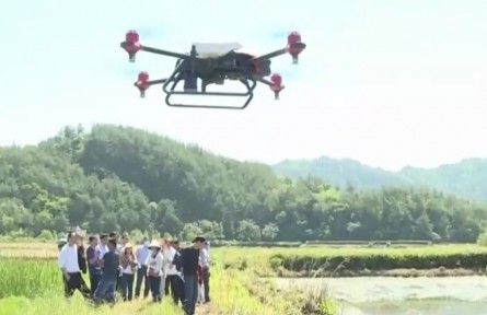 湖北：打開夏種夏管夏收農(nóng)忙模式 保豐收