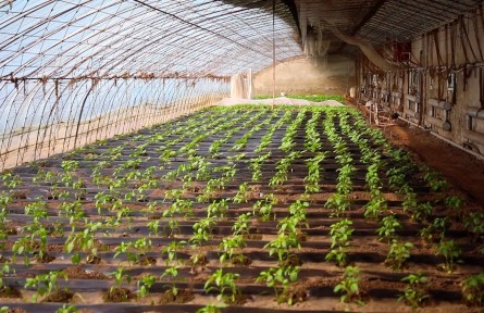 北京市海淀區(qū)農(nóng)業(yè)農(nóng)村局全力保障春耕生產(chǎn)?