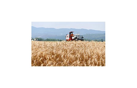 農(nóng)業(yè)農(nóng)村部辦公廳關(guān)于印發(fā)《新型農(nóng)業(yè)經(jīng)營主體輔導(dǎo)員工作規(guī)程》的通知