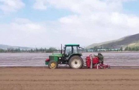 寧夏西吉：68.5萬畝馬鈴薯開始種植