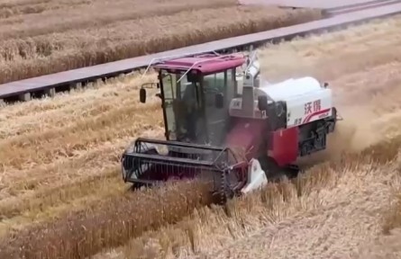 四川成都：全程機(jī)械化收割 確保夏糧顆粒歸倉