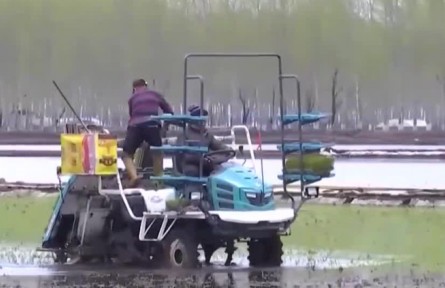 全國2022年春播總體過七成