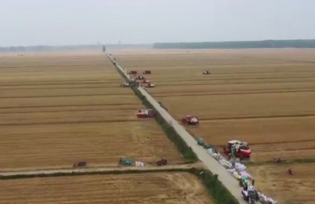 湖北：搶抓農(nóng)時確保夏糧夏油豐收