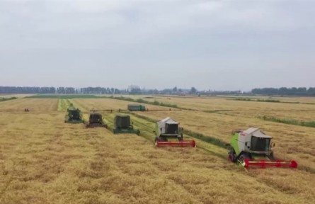 聚焦中國經(jīng)濟(jì)2022年4月報(bào) 市場供給能力充足 有利于保持價(jià)格穩(wěn)定