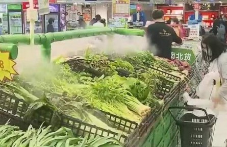 中宣部“中國這十年”系列新聞發(fā)布會舉行 市場主體總量突破1.5億戶