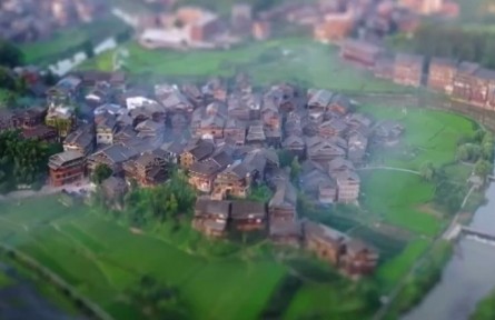 小滿(mǎn)：物至于此 小得盈滿(mǎn)