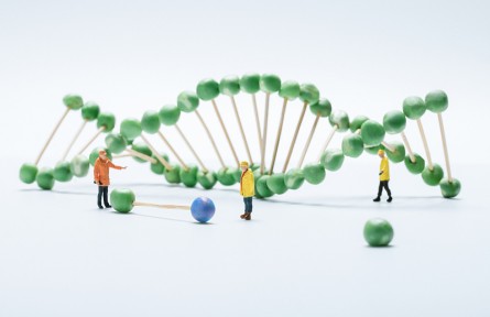 科技名詞 | 孟德?tīng)栠z傳定律