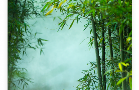 名言 | 孔子：君子坦蕩蕩，小人長戚戚