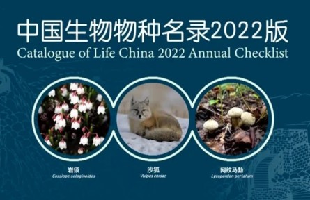 《中國生物物種名錄》2022版發(fā)布 我國收錄生物物種及種下單元數(shù)量顯著增加