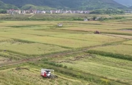 江西：強(qiáng)服務(wù) 搶農(nóng)時(shí) 收油菜種水稻