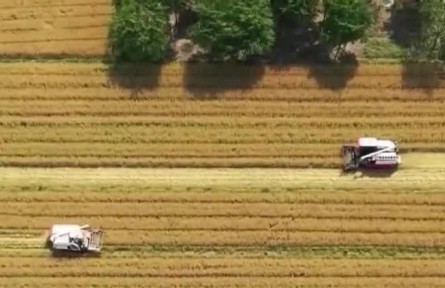 【在希望的田野上·三夏時(shí)節(jié)】我國(guó)夏收拉開序幕 大規(guī)模機(jī)收即將展開