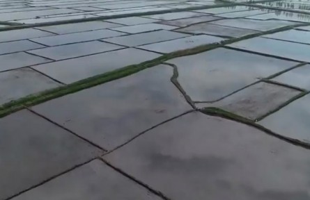 黑龍江：多措并舉 保護黑土