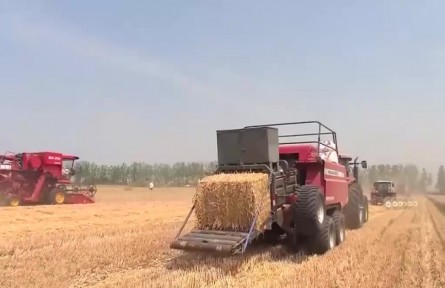 主產(chǎn)區(qū)小麥機(jī)收穩(wěn)步推進(jìn)