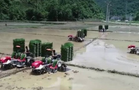 貴州：提高農(nóng)業(yè)機(jī)械化率 促進(jìn)糧食增產(chǎn)增收