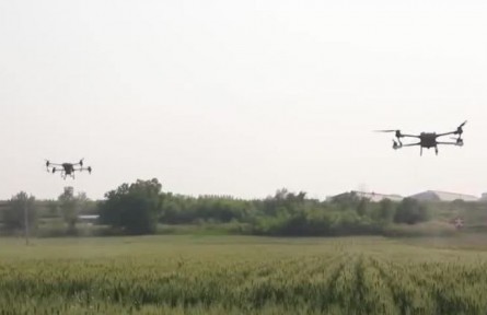 山西晉城：克服晚播影響 搶抓時機保增產(chǎn)