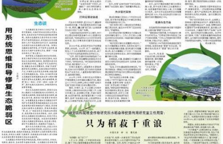 湖北農(nóng)科院糧食作物研究所水稻雜種優(yōu)勢利用研究室主任周雷：只為稻菽千重浪