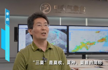 夏收夏種，“天”如何？氣象專(zhuān)家研判來(lái)了