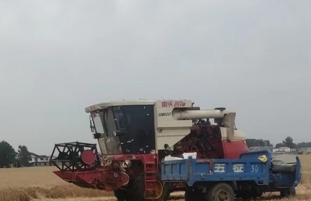 機(jī)手、主播、畫家……“三農(nóng)”變化之農(nóng)民新職業(yè)