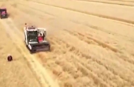 安徽：小麥主產(chǎn)區(qū)完善服務(wù)進(jìn)度快 顆粒歸倉(cāng)收獲忙