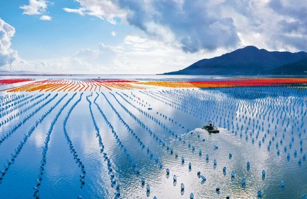 《求是》雜志編輯部：讓中華大地天更藍、山更綠、水更清、環(huán)境更優(yōu)美