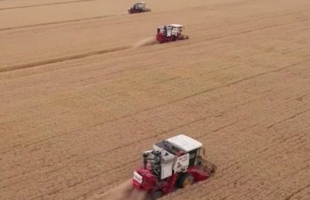 【在希望的田野上·三夏時節(jié)】我國夏糧主產(chǎn)區(qū)小麥?zhǔn)斋@已過兩成