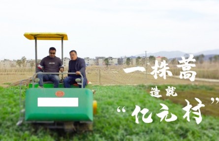 湖北陽(yáng)新：一株蒿造就“億元村”