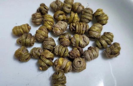 物種故事 | 石斛：生長(zhǎng)于峭壁之上，也無(wú)法逃脫一度被采挖殆盡的命運(yùn)