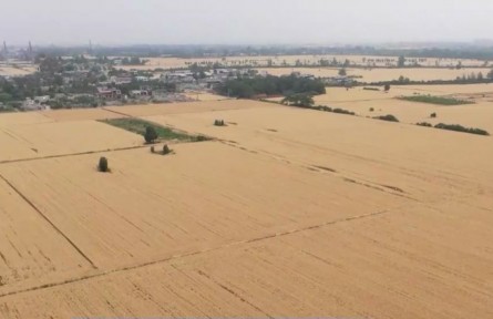 【在希望的田野上·三夏時節(jié)】我國夏收過兩成半 進展順利