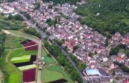 第51個世界環(huán)境日 浙江安吉：兩片“葉子”撬動小山村的蝶變