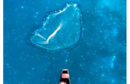 這樣的山水，很中國(guó)