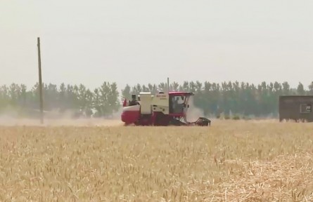 多地開辟“綠色通道” 跨區(qū)機(jī)收一路暢通