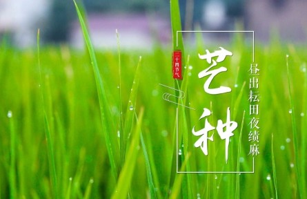 芒種，晝出耘田夜績(jī)麻