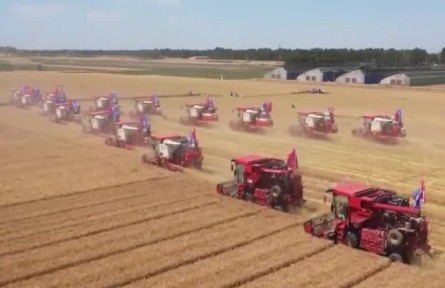 【在希望的田野上·三夏時節(jié)】我國夏糧主產(chǎn)區(qū)麥?zhǔn)者^半 總體進(jìn)展順利