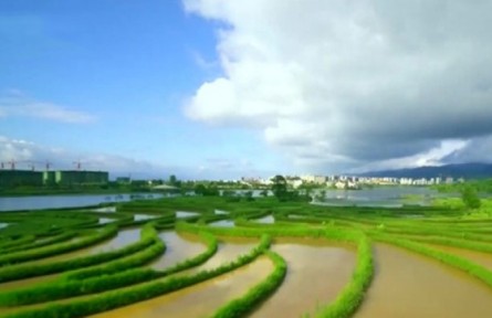 重慶：生態(tài)優(yōu)先 綠色發(fā)展 加快建設(shè)山清水秀美麗之地