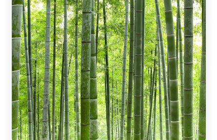 名言 | 蘇軾：君子以其身之正，知人之不正；以人之不正，知其身之所未正也