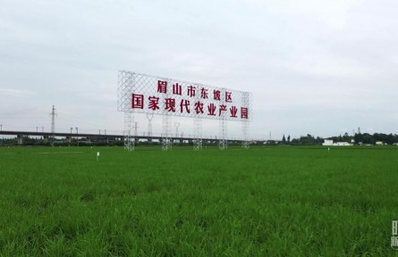 時政新聞眼 | 習近平再赴四川考察，在眉山重點關注了什么？