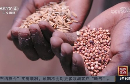 俄烏沖突加劇全球糧食危機(jī)